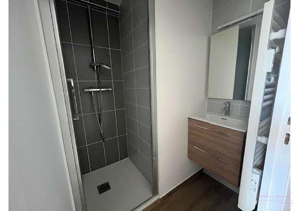 Charmant appartement rénové - VIHIERS