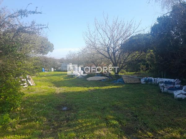 Achat terrain Saint-Georges-d'Oléron - 700 m² - 160 000 €