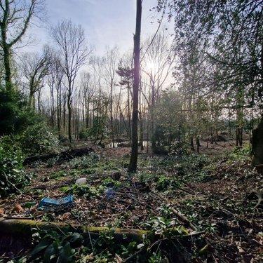 Terrain de loisirs - Bois - Etang à vendre à Rives-d'Andaine dans l'Orne (61140), ref : 12725/623