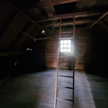 Terrain de loisirs - Bois - Etang à vendre à Rives-d'Andaine dans l'Orne (61140), ref : 12725/623