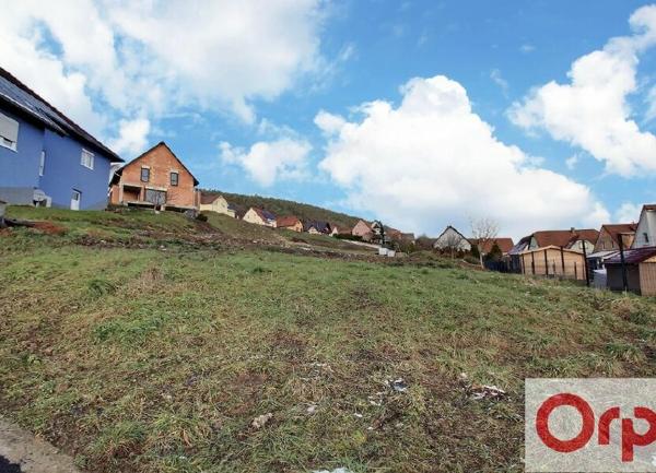 Terrain à vendre    Offwiller