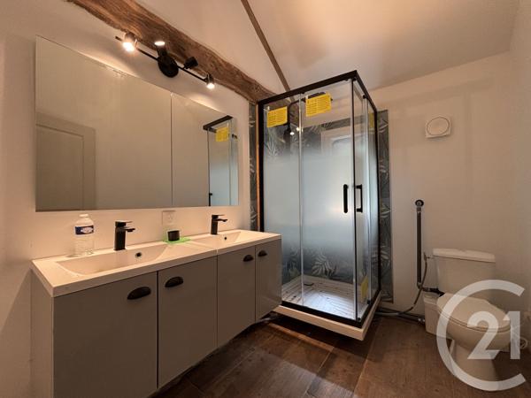 Maison à vendre  6 pièces - 280,15 m2 AIXE SUR VIENNE - 87