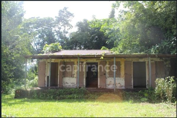 À Vendre – Grand terrain à bâtir de 6 130 m² à Ajoupa-Bouillon (Martinique)