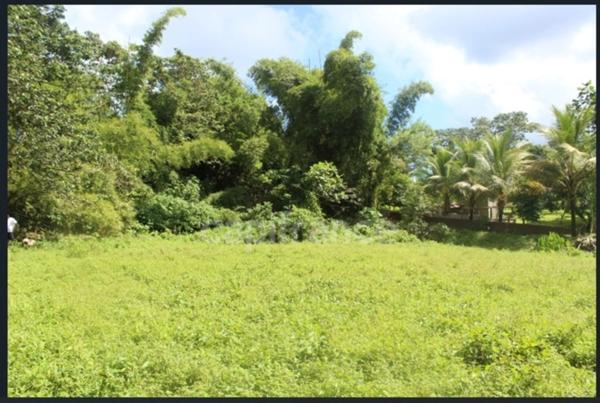 À Vendre – Grand terrain à bâtir de 6 130 m² à Ajoupa-Bouillon (Martinique)