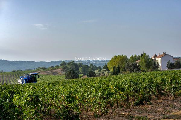 A vendre - Un domaine d'exception - Aux portes du Luberon