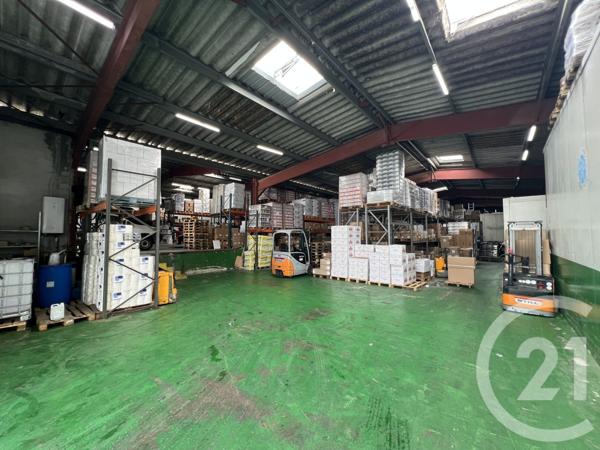 à vendre  1900 m2 FURIANI - 202