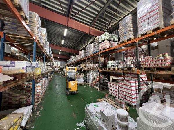 à vendre  1900 m2 FURIANI - 202