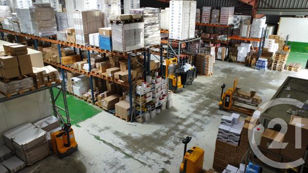 à vendre  1900 m2 FURIANI - 202