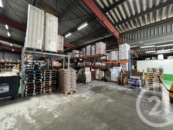 à vendre  1900 m2 FURIANI - 202