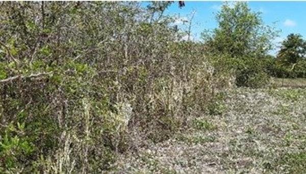 Terrain à vendre de 1000m2