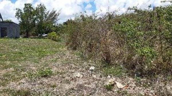 Terrain à vendre de 1000m2