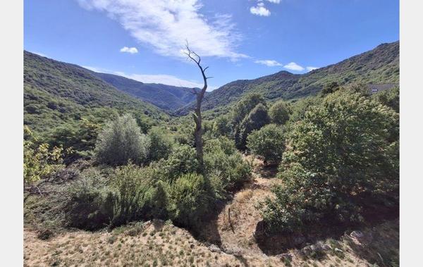 Vente Maison Les vans   