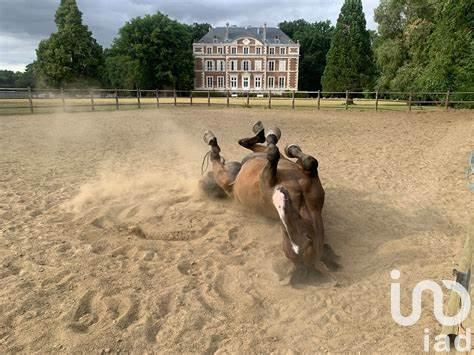 Maison à vendre 8 pièces 173 m² Savigny-sur-Clairis