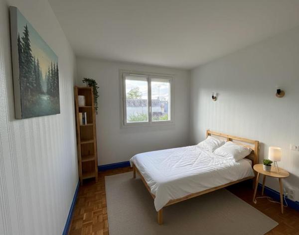 Tours Gare - Bel appartement T3 avec garage privé, cave et jardin commun