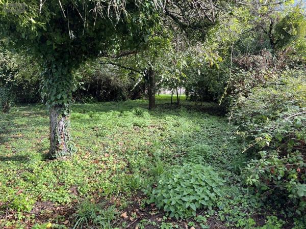 Maison à vendre à Neuville-sur-Ain dans l'Ain (01160), ref : 01067-917