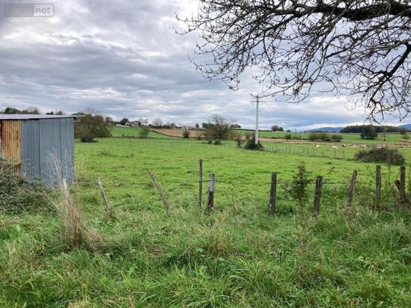 Maison à vendre à Neuville-sur-Ain dans l'Ain (01160), ref : 01067-917