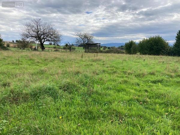 Maison à vendre à Neuville-sur-Ain dans l'Ain (01160), ref : 01067-917