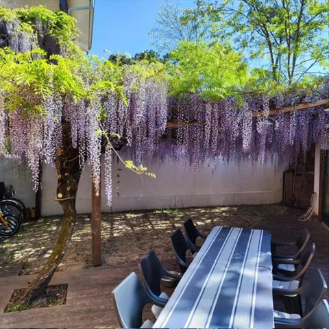 Appartement à vendre |  Lège-Cap-Ferret |  4 pièces | 67 m²