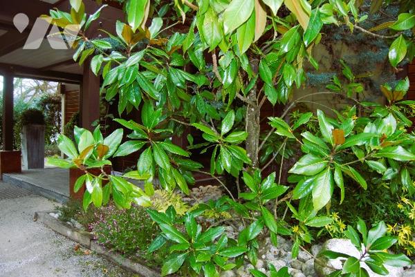 SEVRIER BEAU-RIVAGE - 200 m du lac, maison ossature bois AXE & D, 4 chambres, balcon, 2 terrasses,