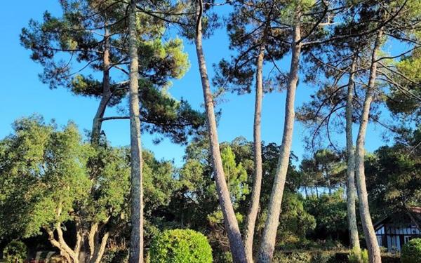 Maison à vendre    7 pièces • 180 m2 Labenne