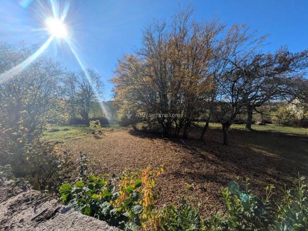 Vente Propriété 7 pièces 196 m2 à Neufchâteau