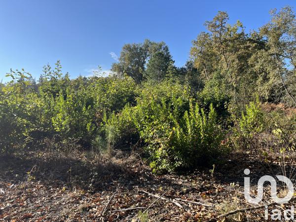 Terrain à vendre 825 m² La Brède