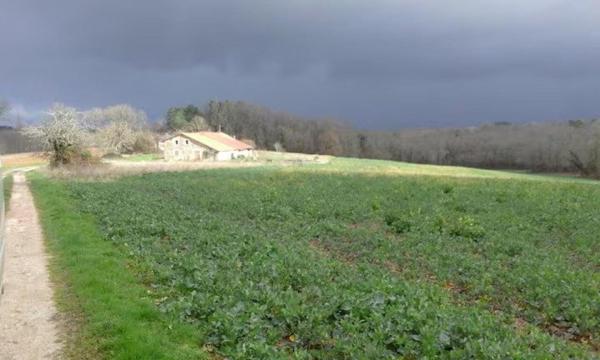 Maison en pierres avec grange attenante