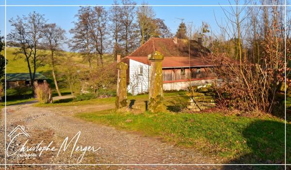Maison à vendre 15 pièces 500m² proche de Phalsbourg (67)