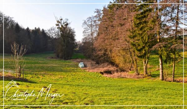 Maison à vendre 15 pièces 500m² proche de Phalsbourg (67)