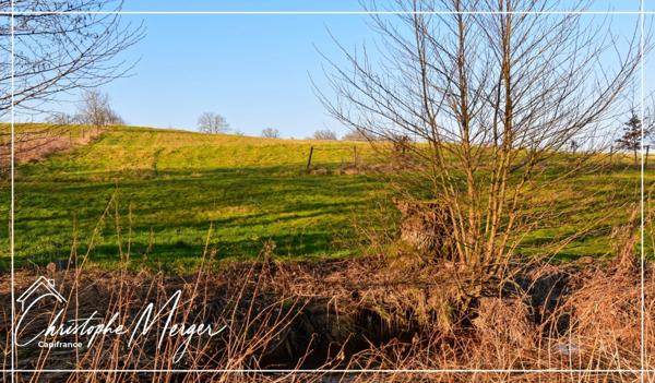 Maison à vendre 15 pièces 500m² proche de Phalsbourg (67)