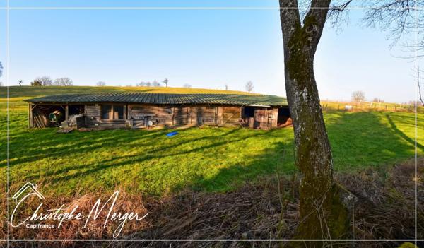 Maison à vendre 15 pièces 500m² proche de Phalsbourg (67)