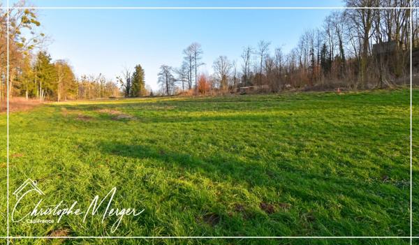 Maison à vendre 15 pièces 500m² proche de Phalsbourg (67)