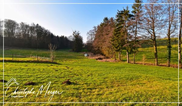 Maison à vendre 15 pièces 500m² proche de Phalsbourg (67)