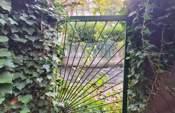 Cadre bucolique et fort potentiel à Andlau