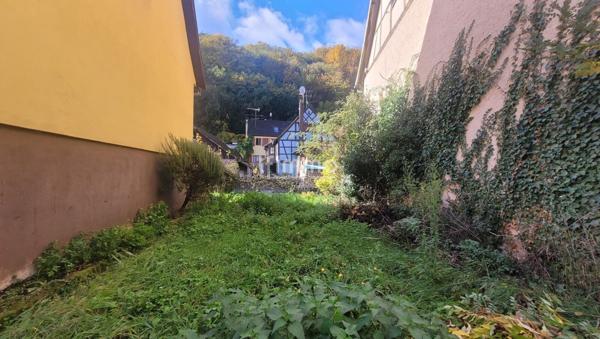 Cadre bucolique et fort potentiel à Andlau
