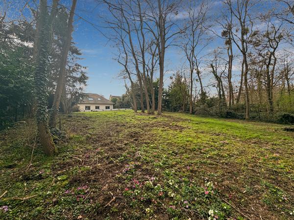 Maison Saulx Les Chartreux 5 pièce(s) 166 m2