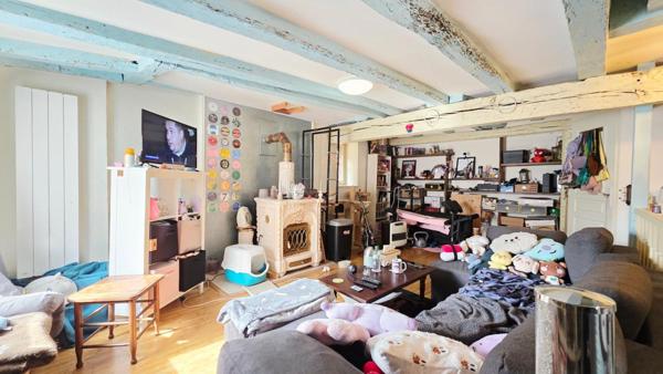 BOURGES CENTRE IMMEUBLE DE RAPPORT 120 m² 2 LOTS