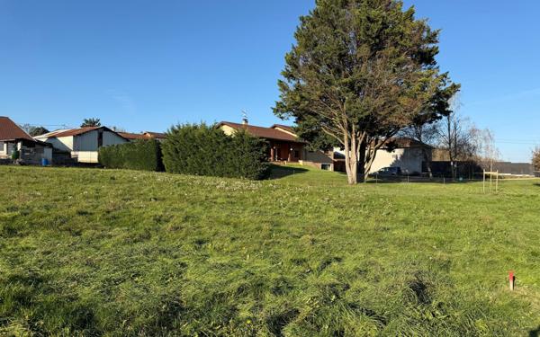 Terrain à vendre    Montluel