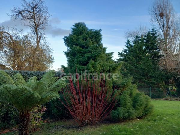 Maison contemporaine à Ossature bois TREGASTEL (22)