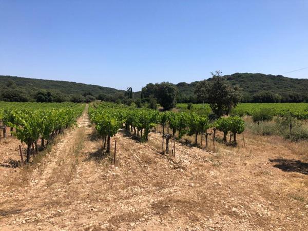 Terrain Rochefort Du Gard 43000 m2 182 320