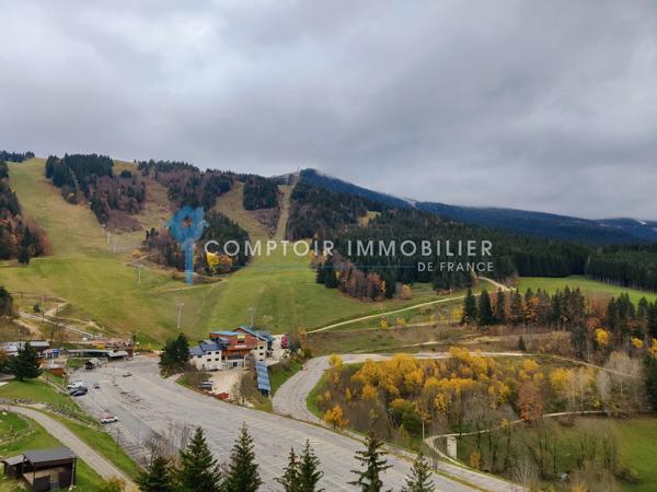 Appartement
                                                                                                                                                                                                                                                                                                                        1 pièce(s)                                                                                                                                                                                                                                                                                                                              18.83  m²