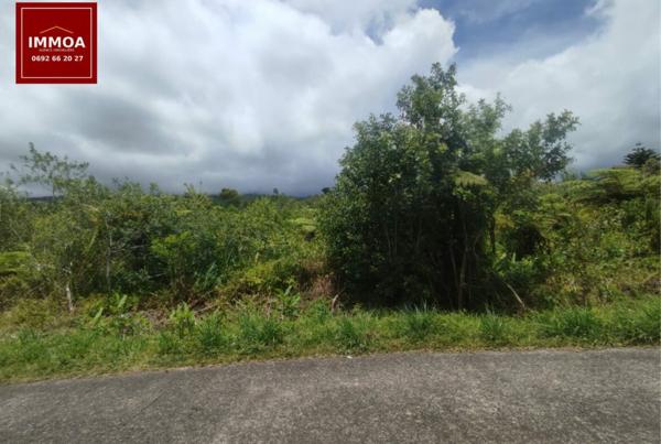 A vendre terrain agricole – 989 m² – Saint-Benoît (97470)