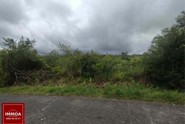 A vendre terrain agricole – 989 m² – Saint-Benoît (97470)