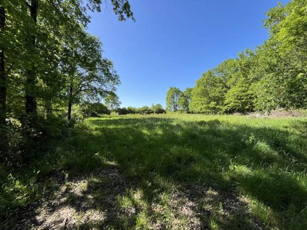 Terrain à vendre |                                       Vierzon |                                          2020 m²