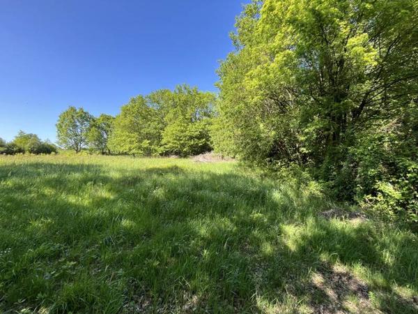 Terrain à vendre |                                       Vierzon |                                          2020 m²
