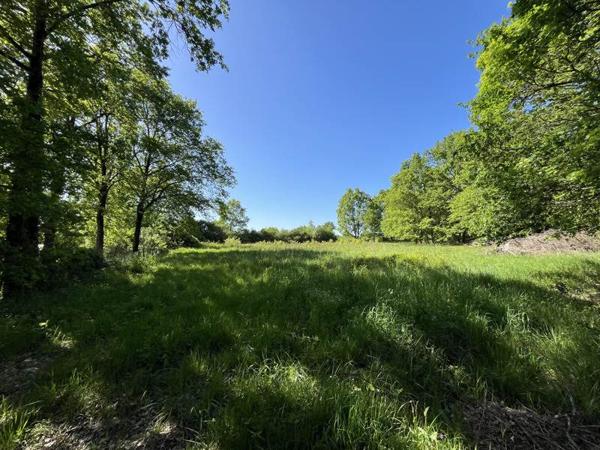 Terrain à vendre |                                       Vierzon |                                          2020 m²