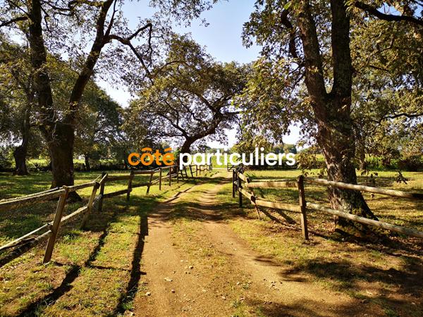 Vente Maison120 m² - 5 Pièces - MONT DE MARSAN (40000)