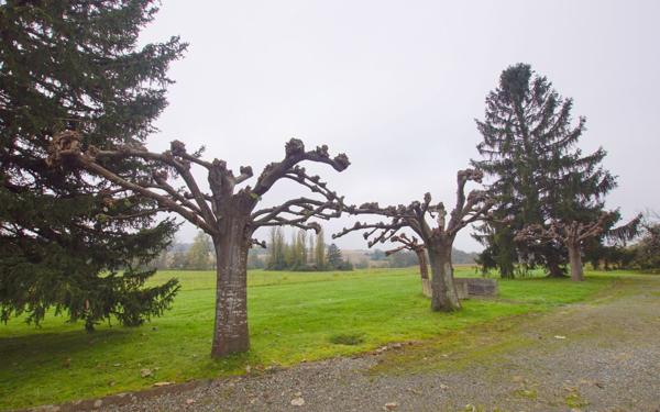 Maison à vendre    7 pièces •  Orthez