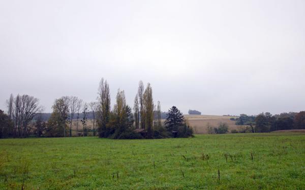 Maison à vendre    7 pièces •  Orthez