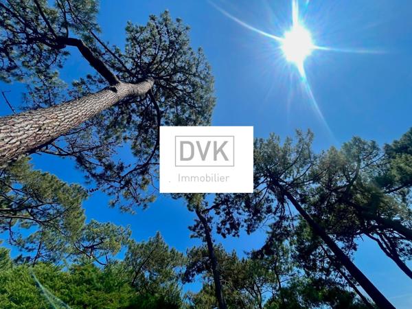 Cap ferret (33970) Terrain de 1477 m2 constructible sur le Cap Ferret